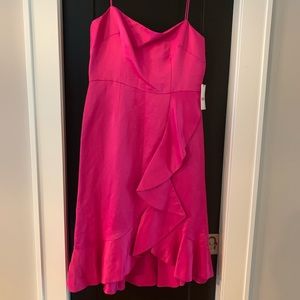 Amur Ashley Ruffle Dress Size 10